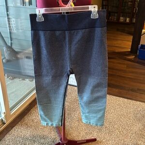 Cropped Highwaisted Striped Ombre Leggings